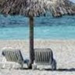 Meet your Posher, Doris